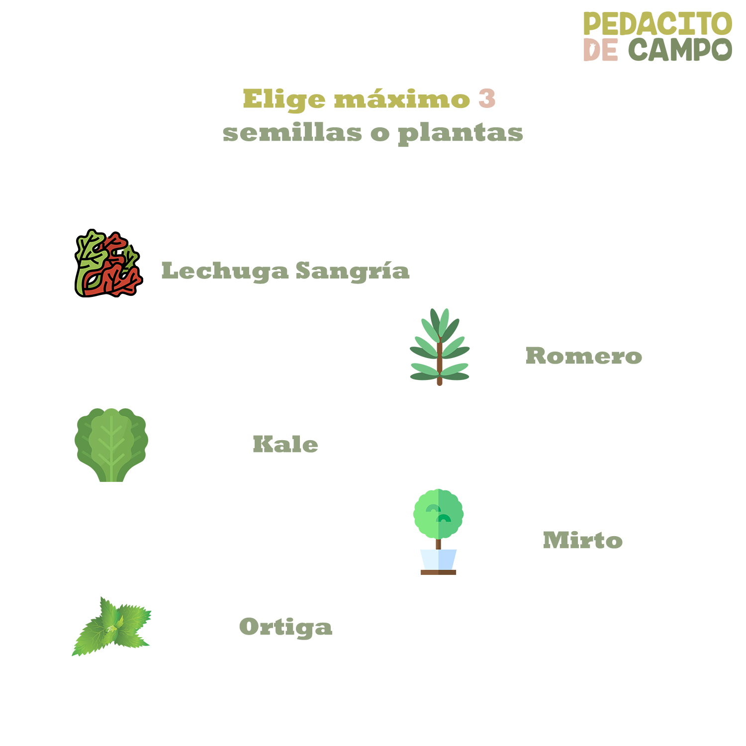Huerto Bajo Madera 30x120 Pedacito De Campo Semillas/plantas Café