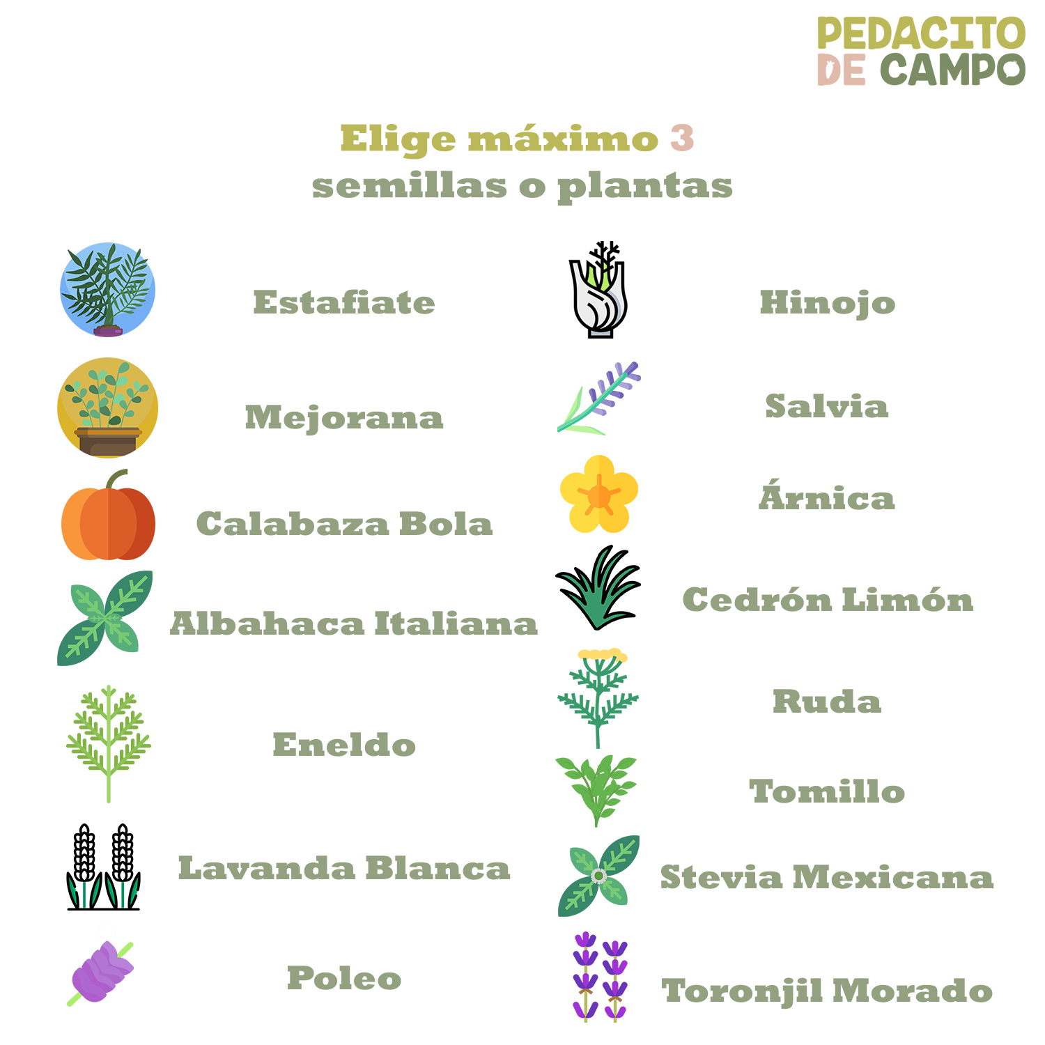 Huerto Bajo Madera 30x120 Pedacito De Campo Semillas/plantas Natural 