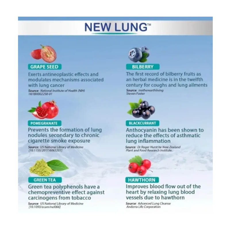 New Lung Premium Lung Detox Desintoxicacion Limpieza Pulmon Success Chemistry