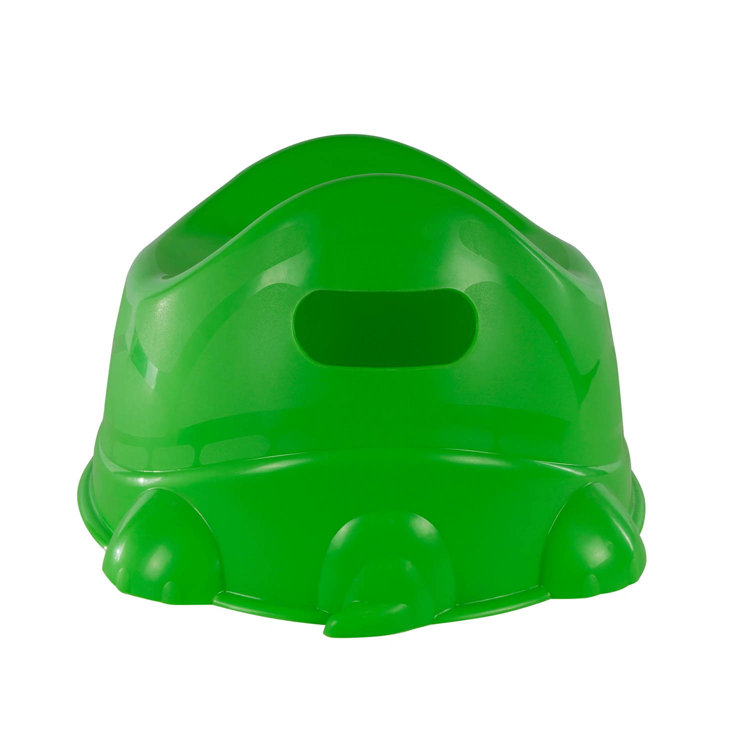 Nica Prinsel Tortuga Verde