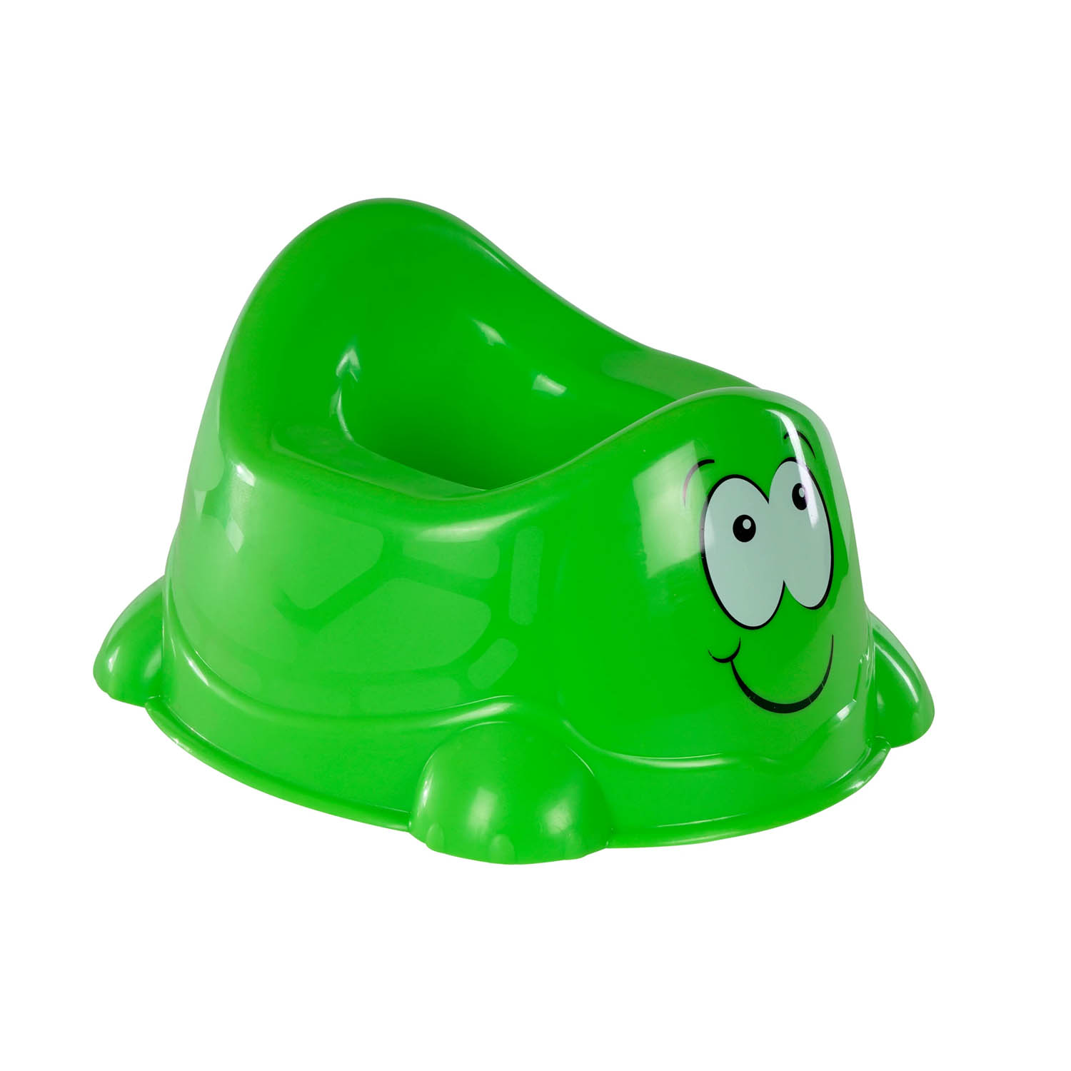 Nica Prinsel Tortuga Verde