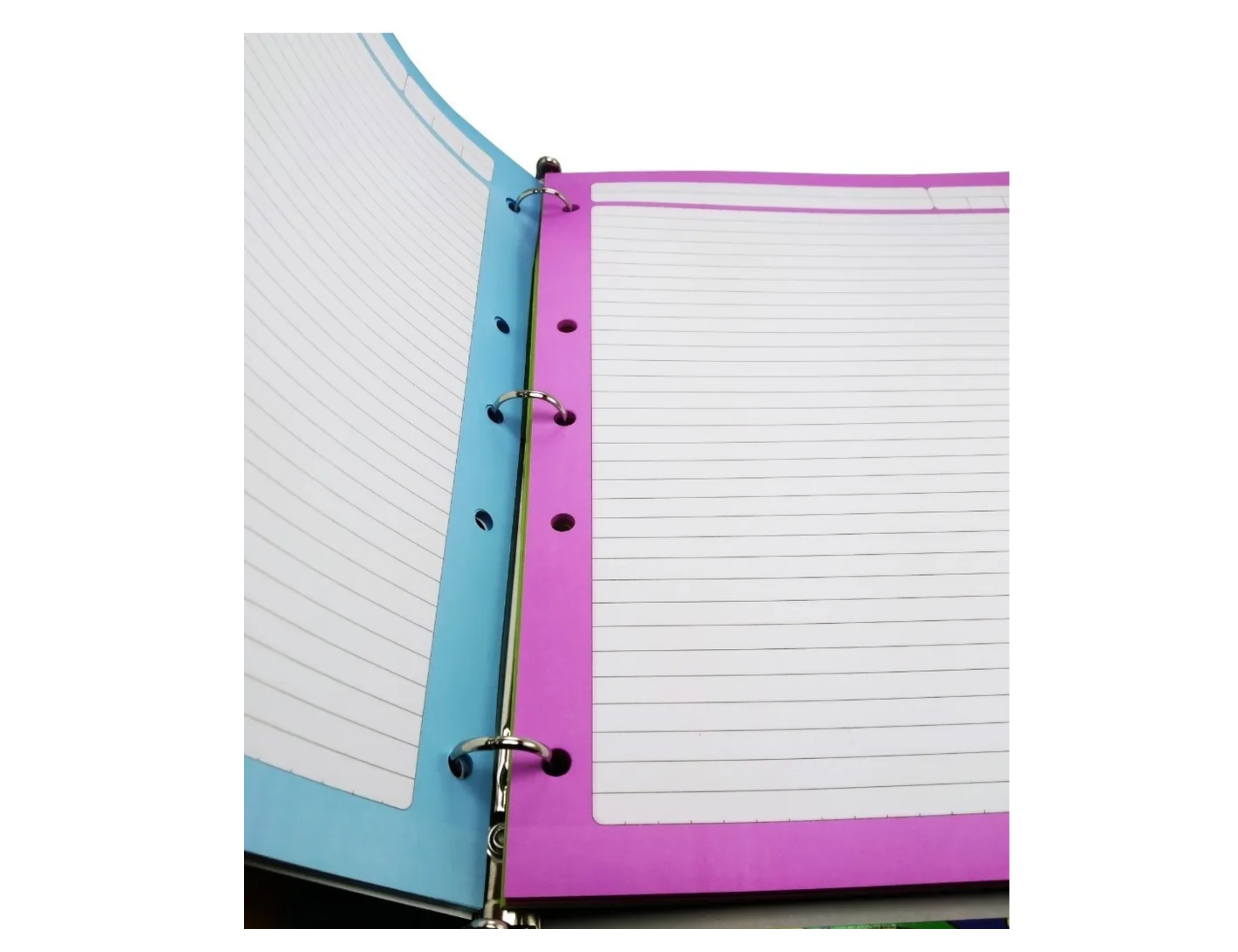 Repuesto Para Carpeta De 200 Hojas -  4 Colores Para Separar Materias - 50 Por Color