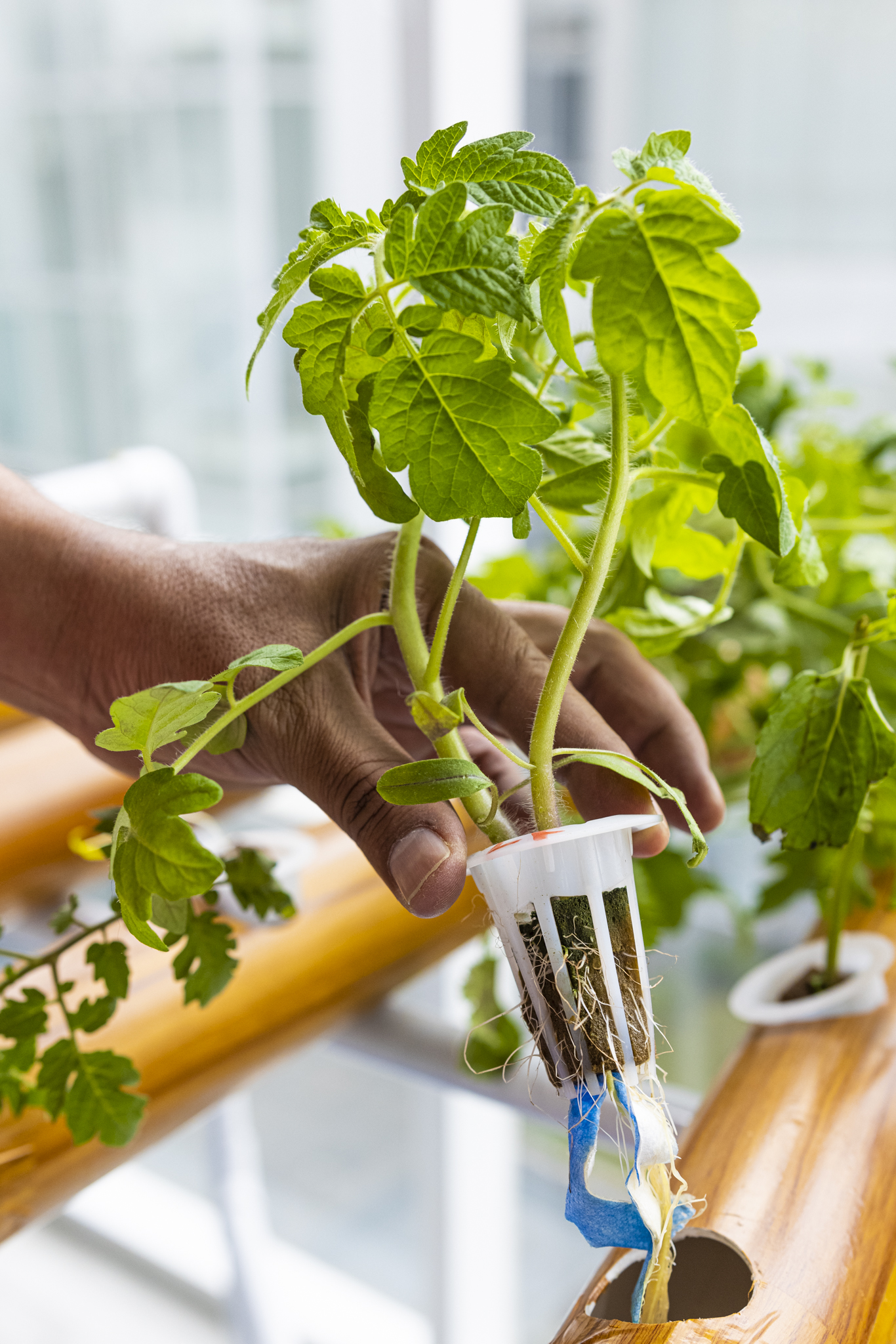 Sistema Hidroponico Vertical con Controlador Inteligente de Flujo de Agua PH Humedad Temperatura Intensidad de Luz UV / Master / ECO-IOT20V