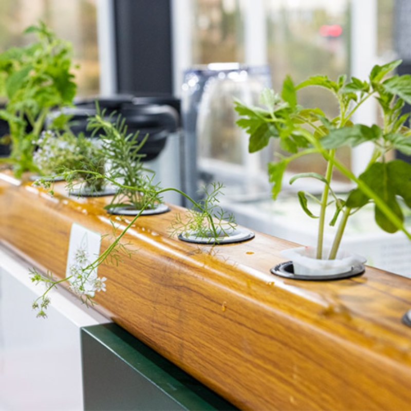 Sistema Hidroponico Horizontal con Controlador Inteligente de Flujo de Agua PH Humedad Temperatura Intensidad de Luz UV / Master / ECO-IOT20H