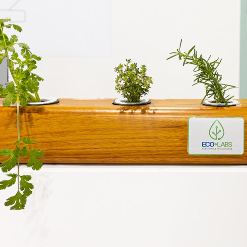 Sistema Hidroponico Horizontal con Controlador Inteligente de Flujo de Agua PH Humedad Temperatura Intensidad de Luz UV / Master / ECO-IOT20H