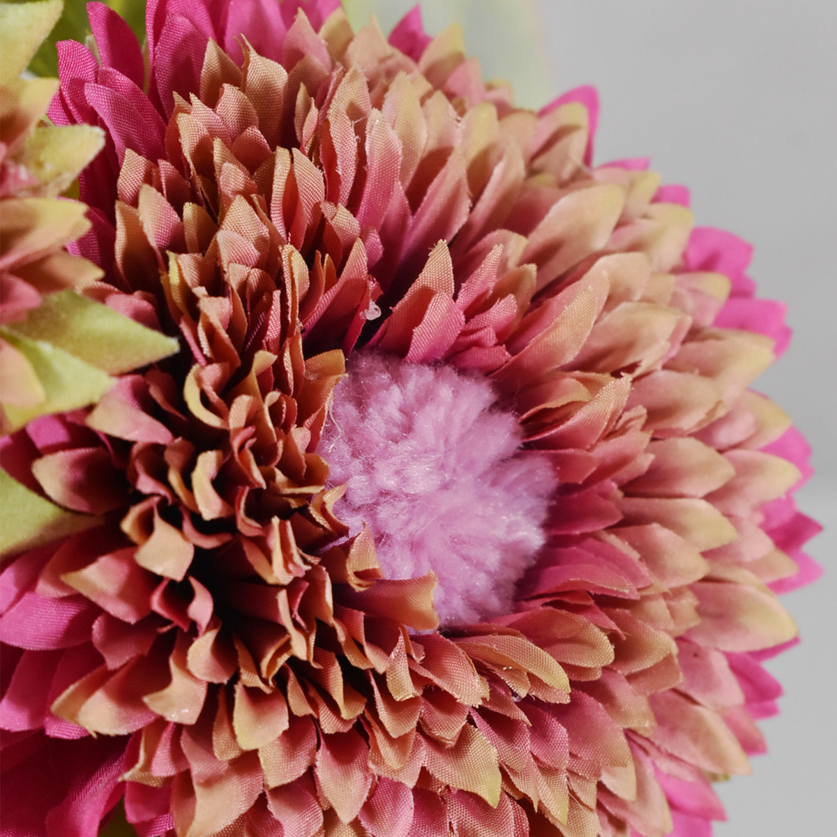 Ilustración de flor de pétalo rosa, blog, flores decorativas