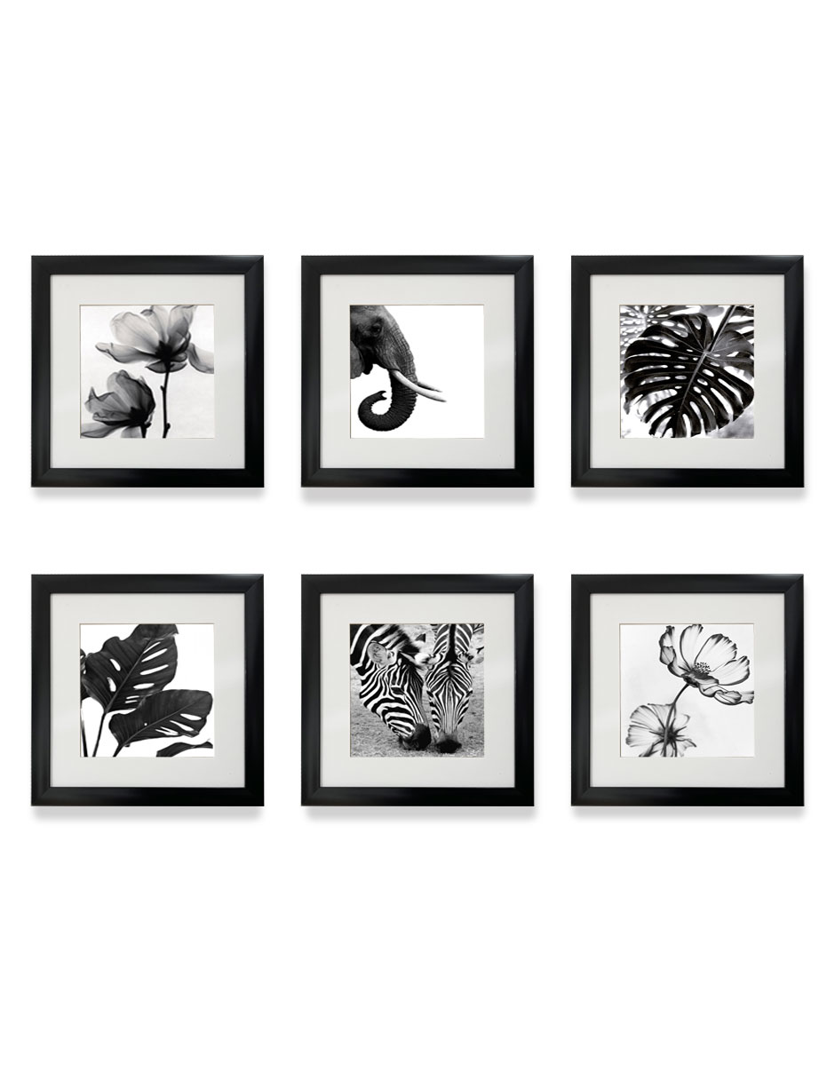 Set de 6 Marcos para fotografias PASPARTÚ FRAMES con vidrio y marialuisa