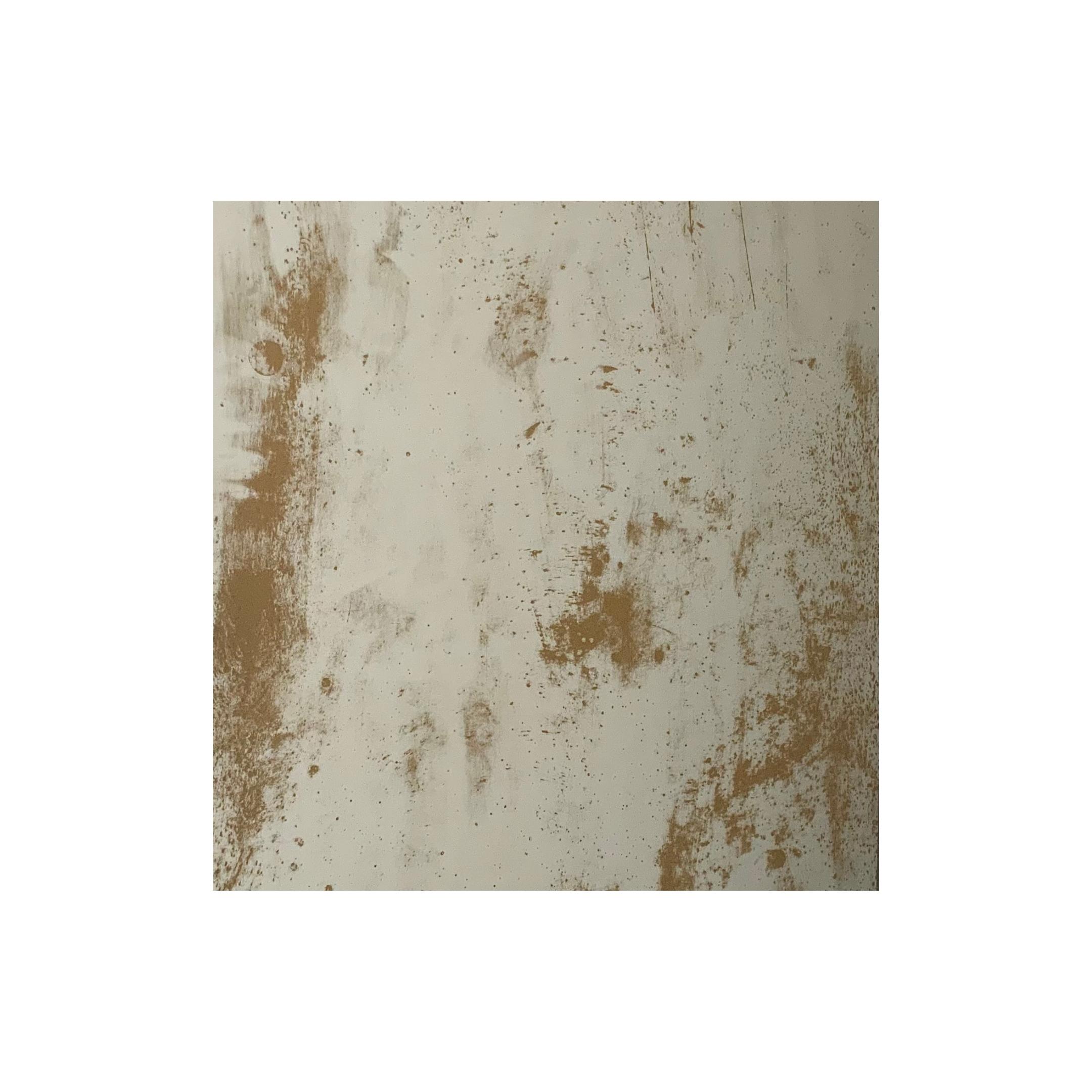 Espejo Anticado Estilo Industrial 