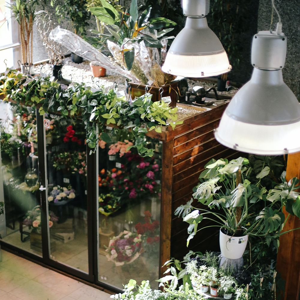 Foco Icon Led Opalino Bulbo T2 70w Luz Fría Ilumina 500w