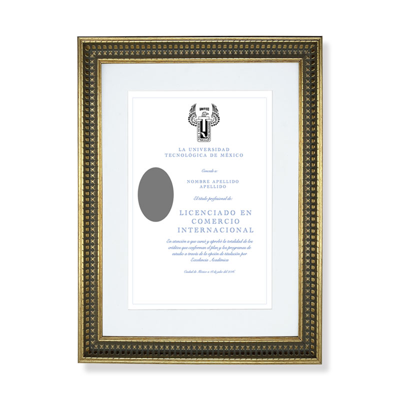 Marco para Titulo Profesional PASPARTU FRAMES  Color Dorado con cristal y Marialuisa Blanca 28x38 cm