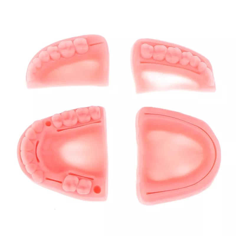 Pad Para Práctica De Sutura / Kit D Entrenamiento Quirúrgico