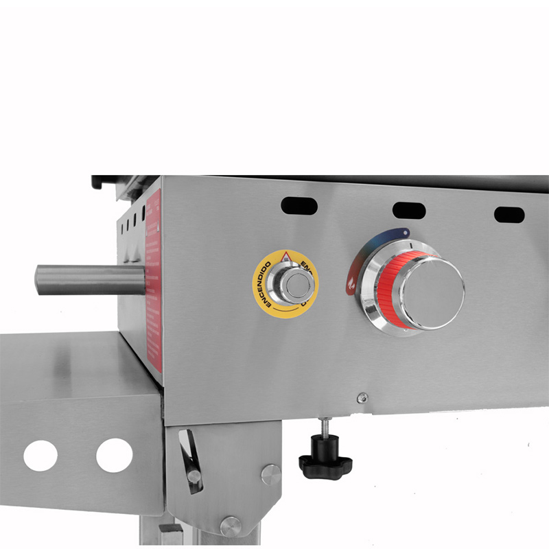 ASADOR MIXTO FLEIM PRO HAUSEN