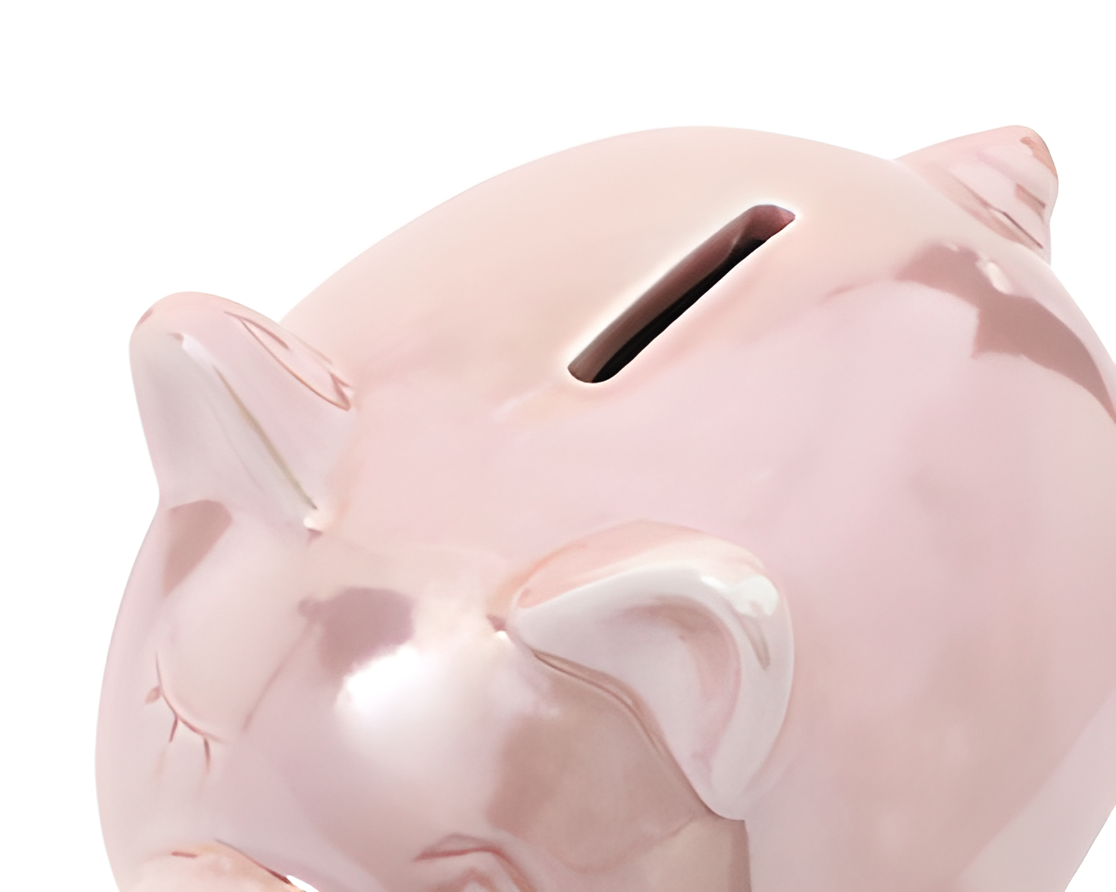 Alcancia en Forma de Cerdito Pink