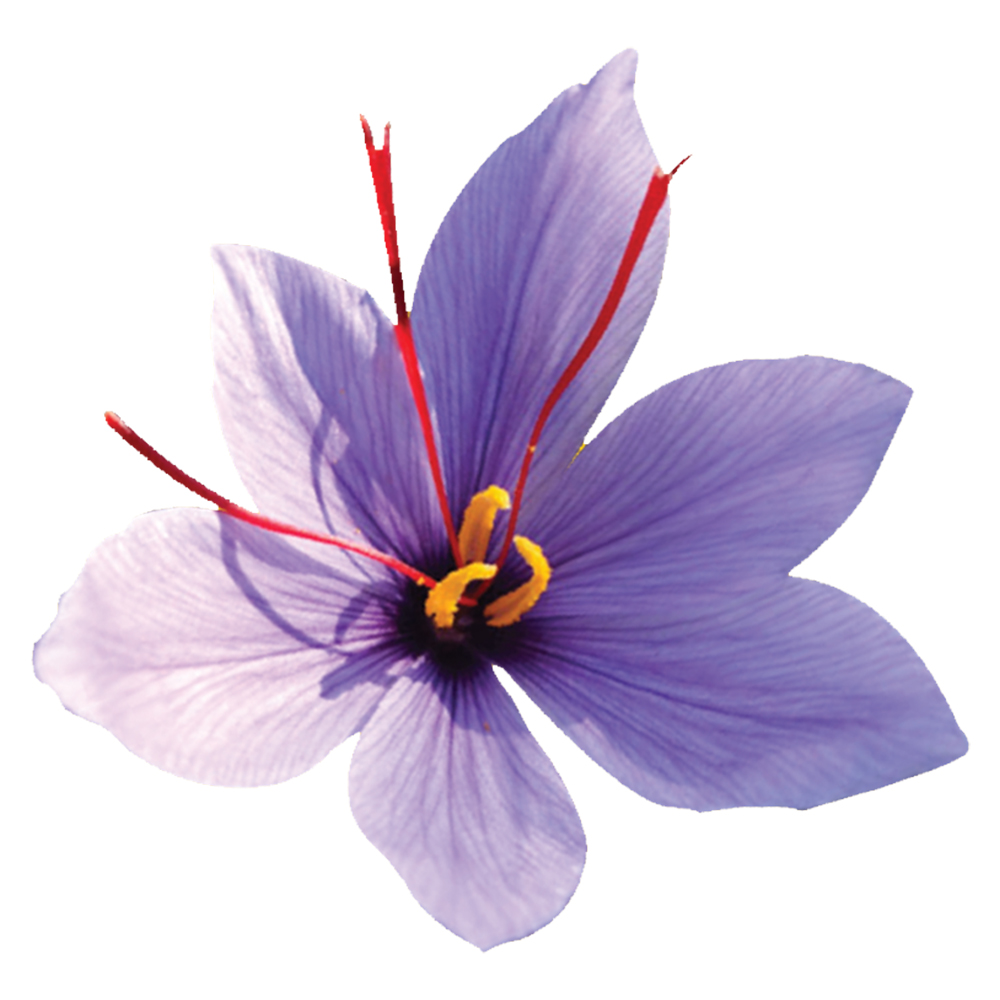 Azafrán Español Mancha Real Frasco De 1.5 Gr