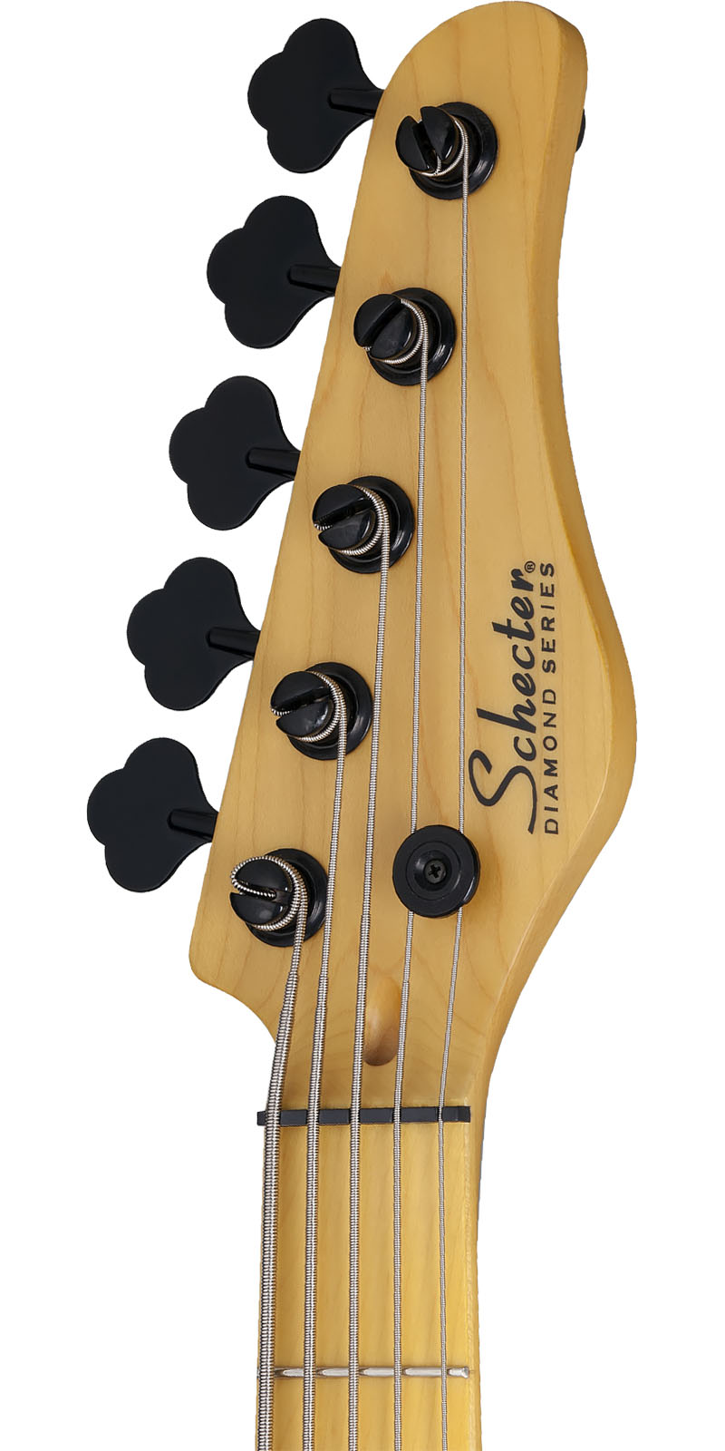 Bajo Schecter Electrico MODEL-T SESSION 5