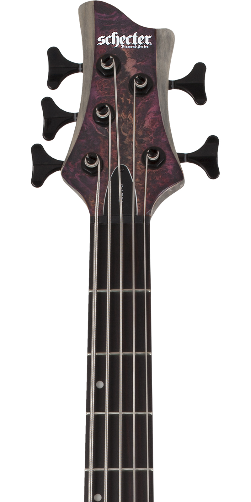 Bajo Schecter Electrico RIOT-5