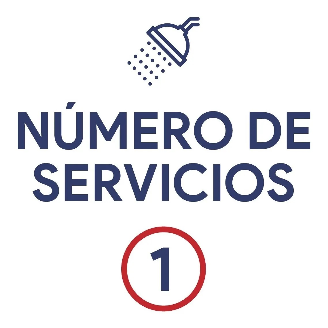 CALENTADOR DE AGUA DE PASO DE RÁPIDA RECUPERACIÓN, A BASE DE GAS L.P. BOILER