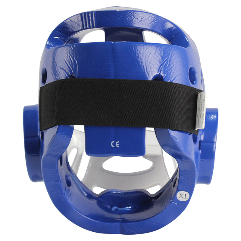 Careta Protectora Con Mica Fire Sports Para Taekwondo Azul