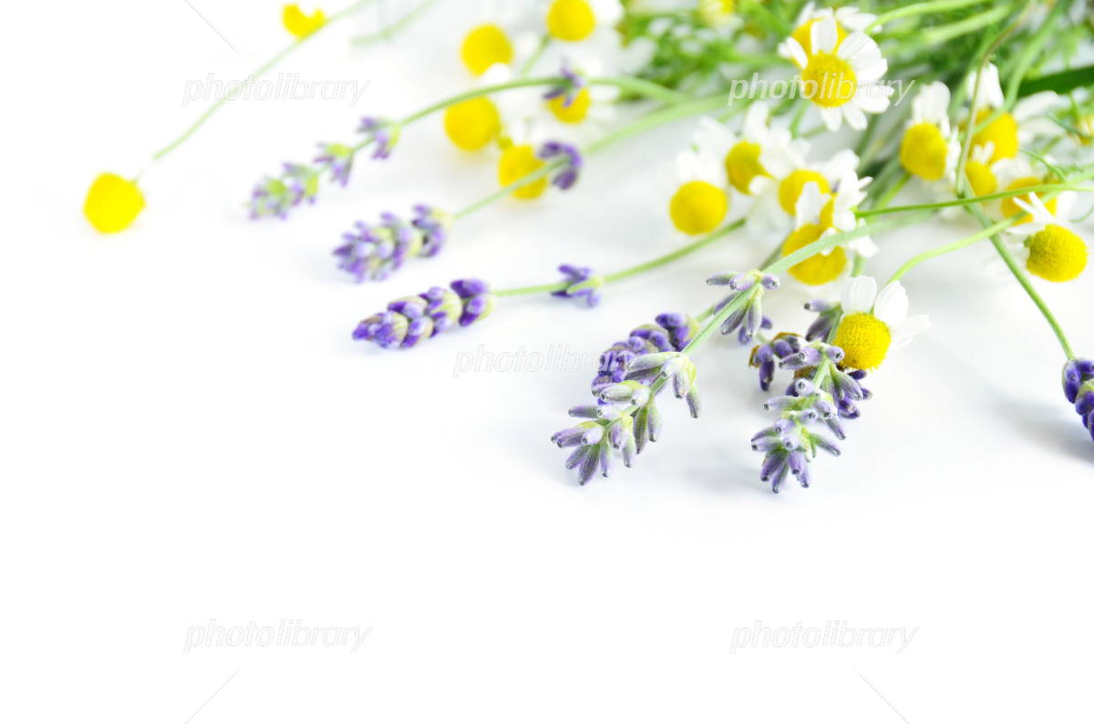 Cojin de semillas Termico y de Aromaterapia, 2 piezas