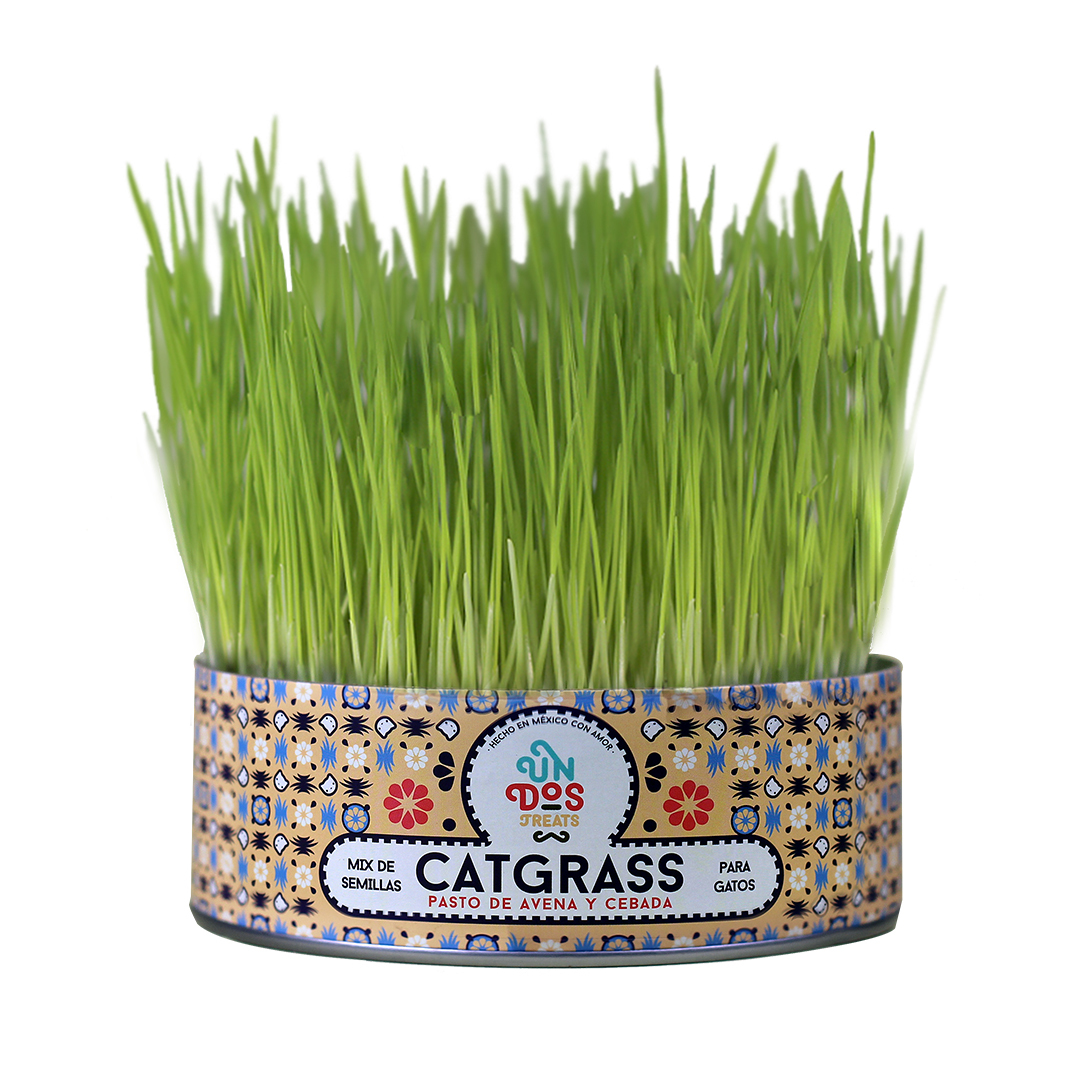 Pasto de avena y cebada para gato Cat Grass Mix Un Dos Treats. Producto apto para perros, aves, reptiles y pequeños roedores.