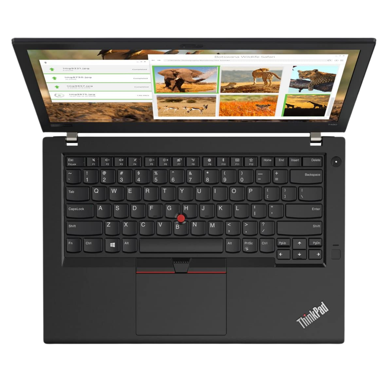 Laptop Lenovo Thinkpad T480 / Intel Core i5-8250U CPU 1.60 GHz / 240 GB SSD / 8 GB RAM. Reacondicionado Grado A