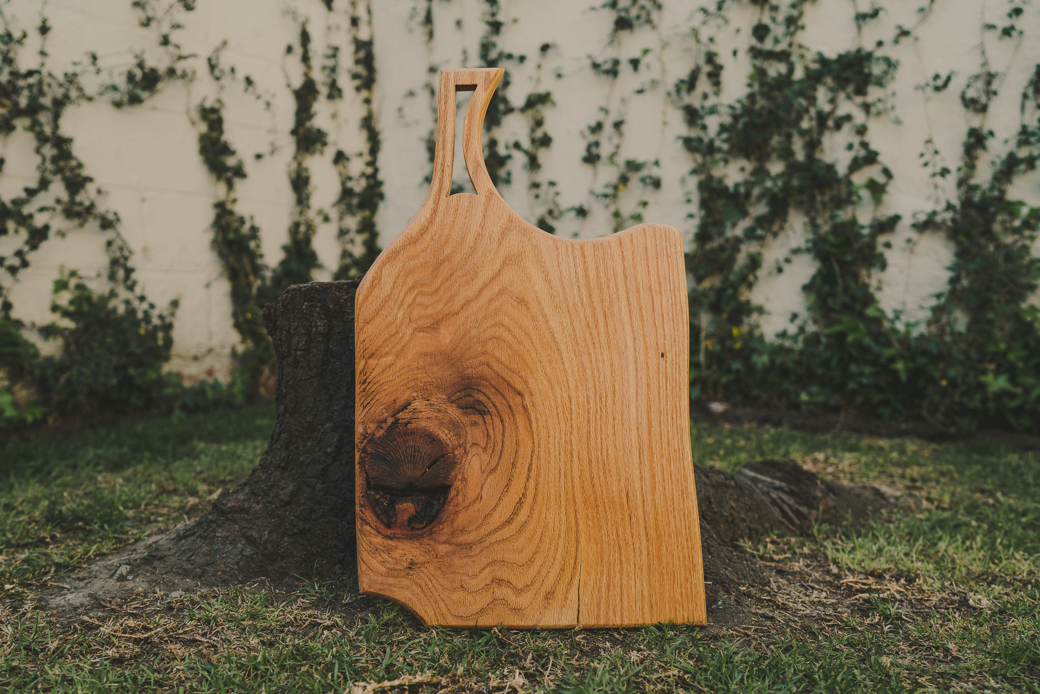 Tabla de madera encino 54 X 32 cm