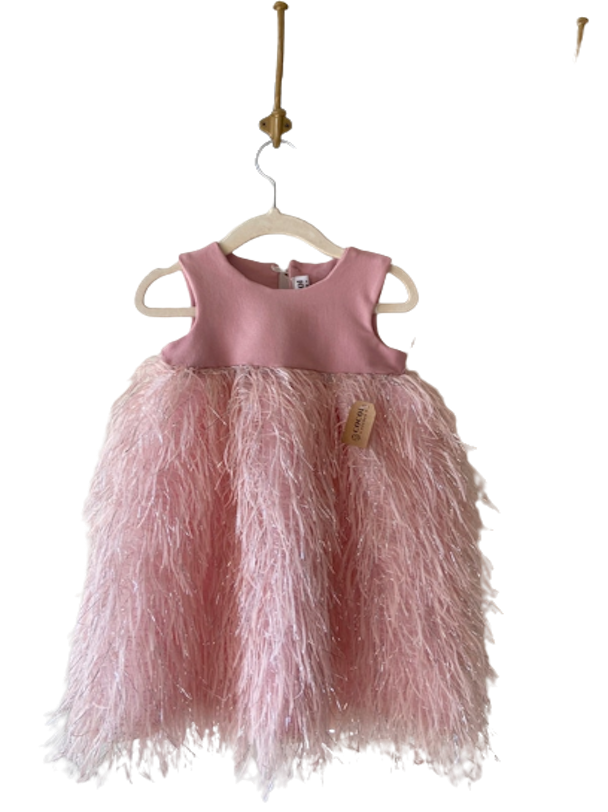 Vestido de diseñador, talla 4, color rosa palo, con detalle de plumas y forro en su interior.