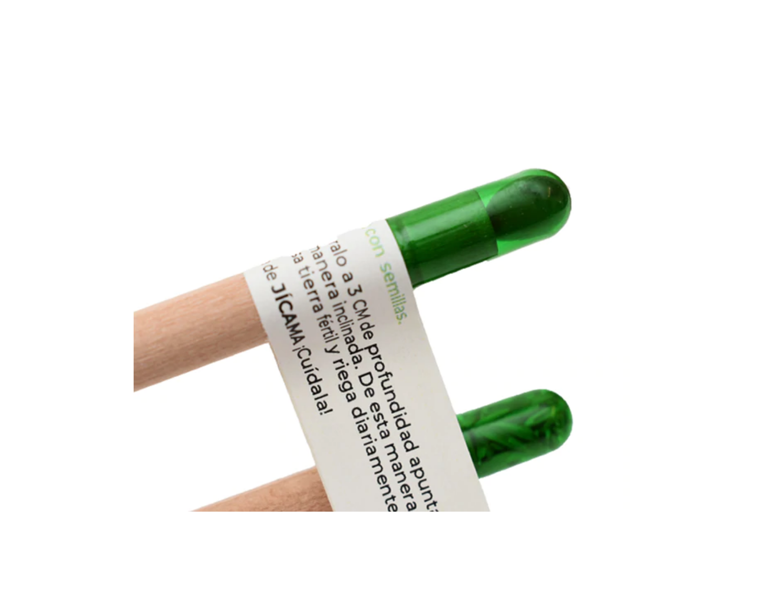 LAPIZ ECOLOGICO CON SEMILLAS VARIADAS (12 PIEZAS)