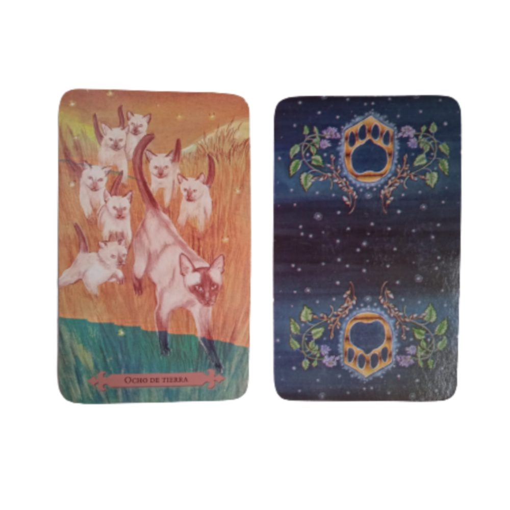 Tarot Místico Del Gato Lunaea Weatherstone Editorial Tomo + Bolso