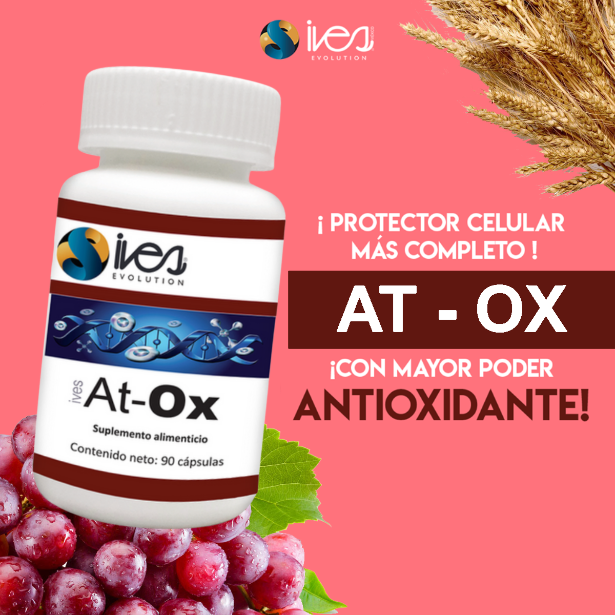 Coenzima Q10 Vitamina C Germen de Trigo Betacaroteno Ives Evolution Mexico 90 Cáps.