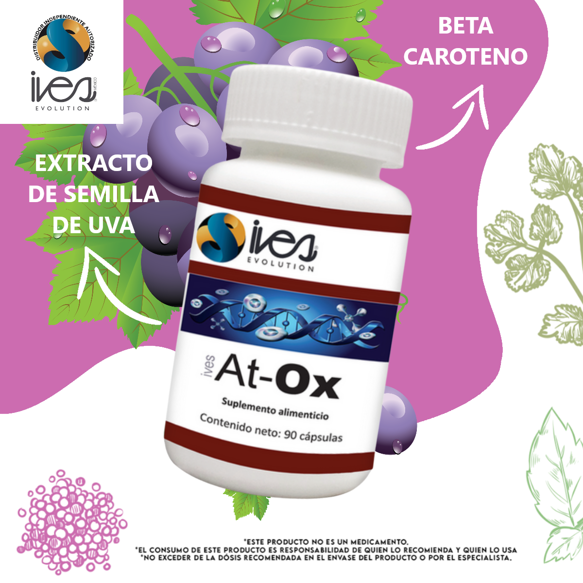 Coenzima Q10 Vitamina C Germen de Trigo Betacaroteno Ives Evolution Mexico 90 Cáps.