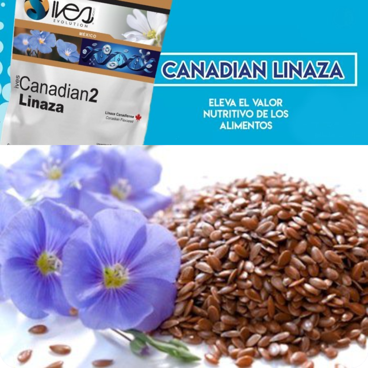 Canadian 2 Ives Evolution México Linaza Canadiense Entera Cultivo Orgánico 600 Gr.