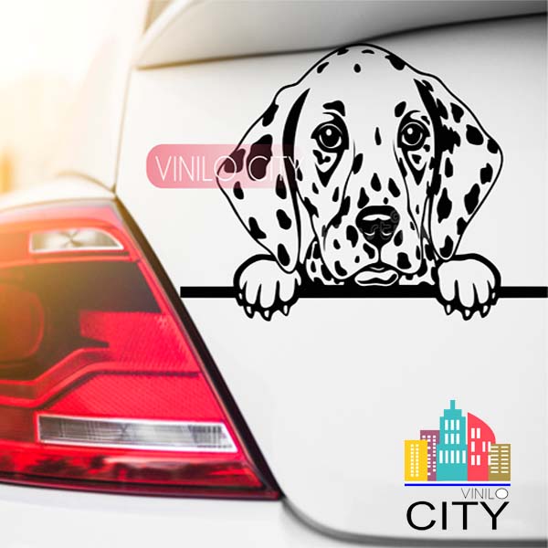 Sticker para carro calcomania de perro dalmata
