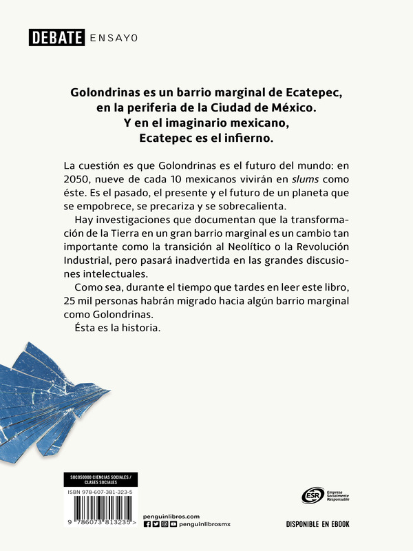 Golondrinas Autor Emiliano Ruiz Parra