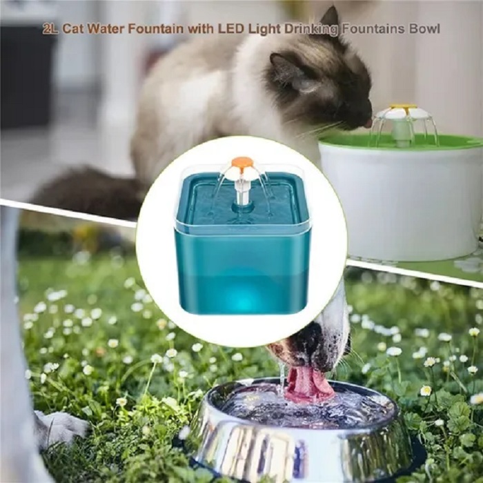 Bebedero De Agua Automatico Fuente Para Gatos Perro Mascotas Verde