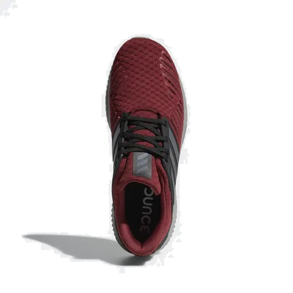 Tênis alphabounce rc 2 2024 feminino