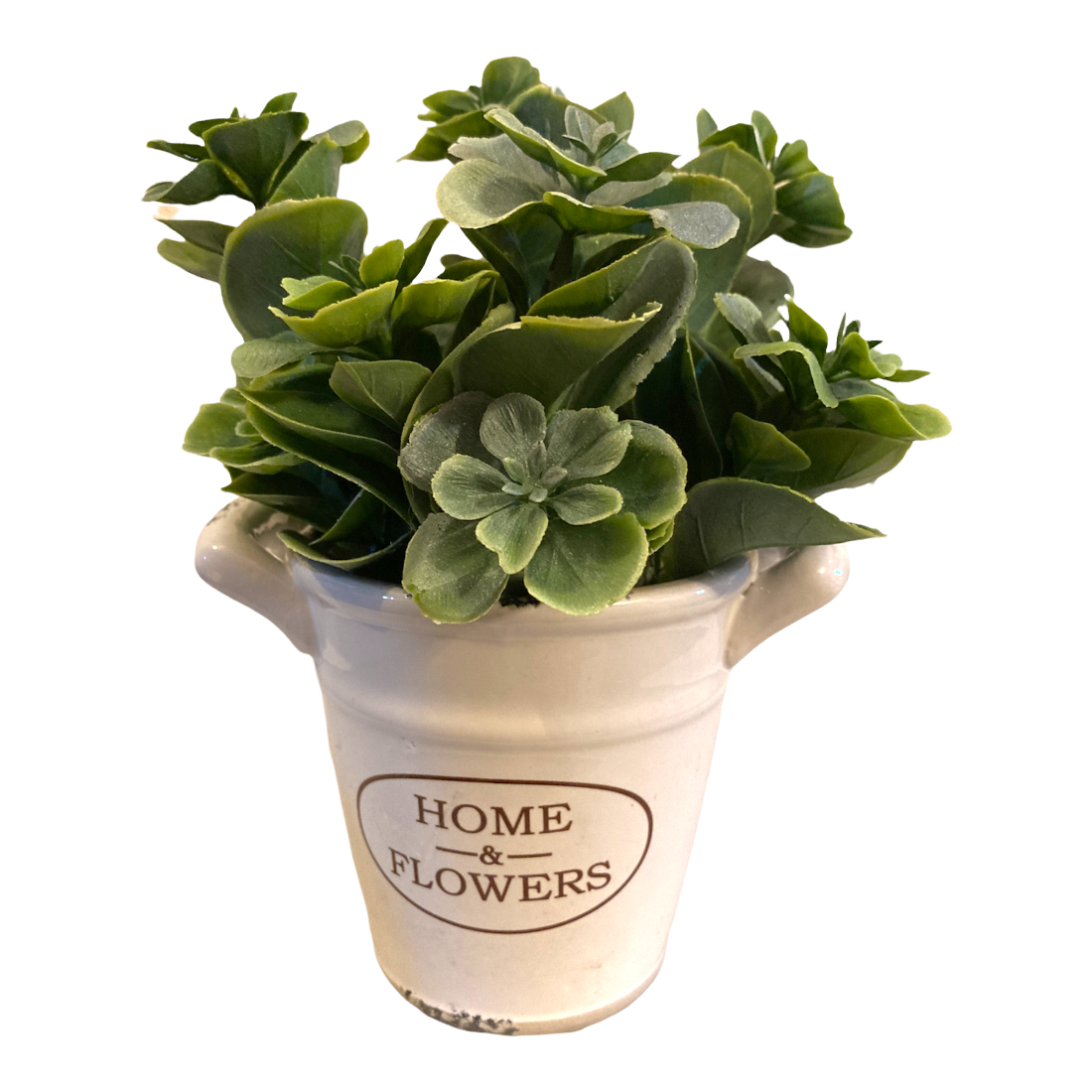 Comercializadora AJR - Planta Suculenta Artificial con Maceta Decorativa - Maceta de Cerámica (Verde)