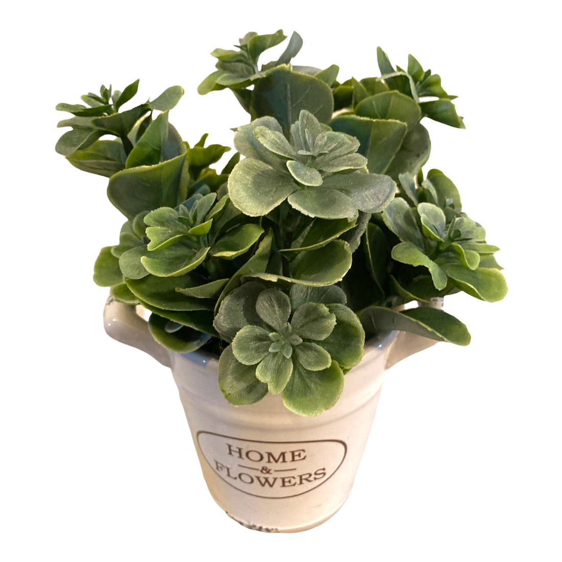 Comercializadora AJR - Planta Suculenta Artificial con Maceta Decorativa - Maceta de Cerámica (Verde)