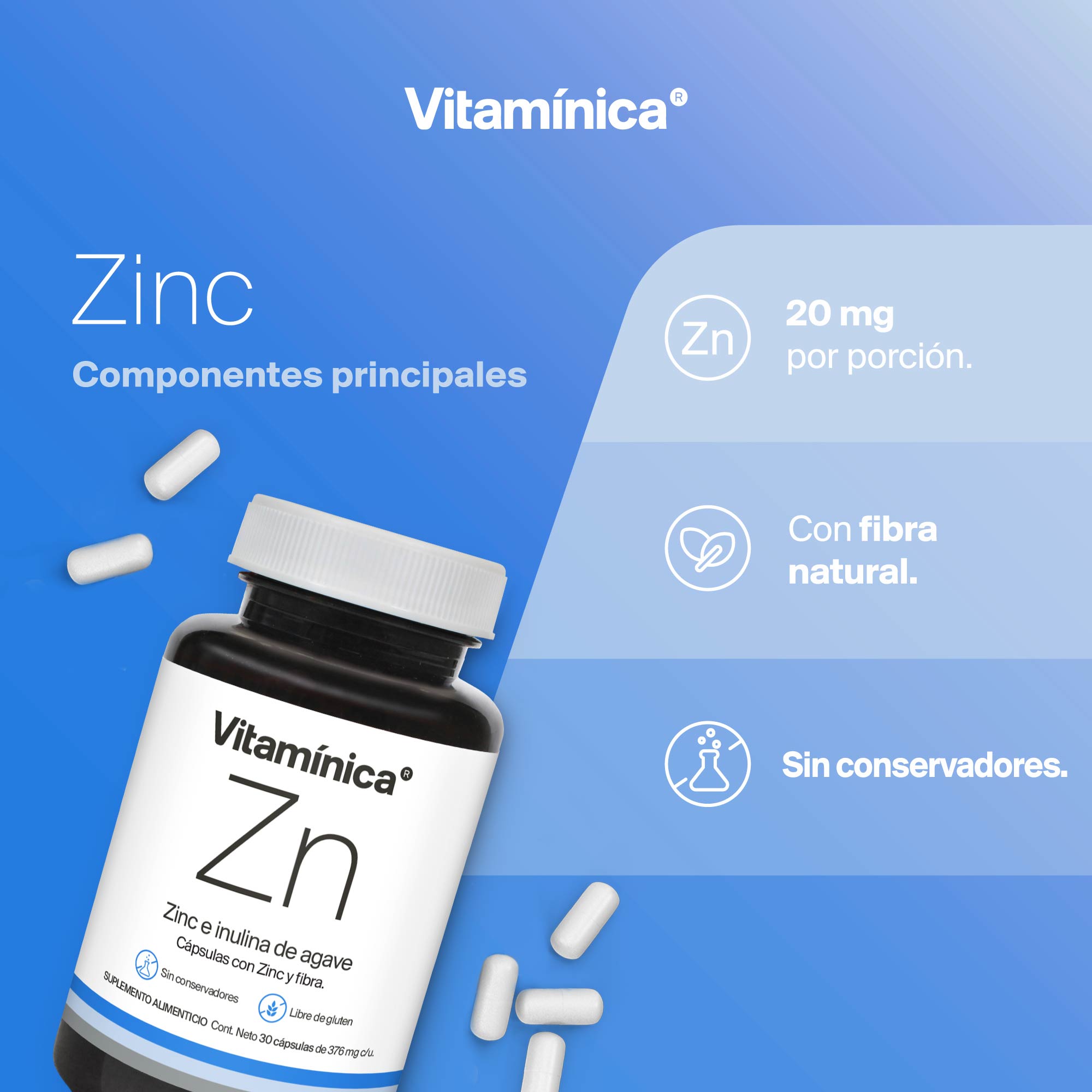 SET DE ZINC | 90 Cápsulas de 376mg | Ideal para 90 días | Libre de conservadores | Sin Gluten
