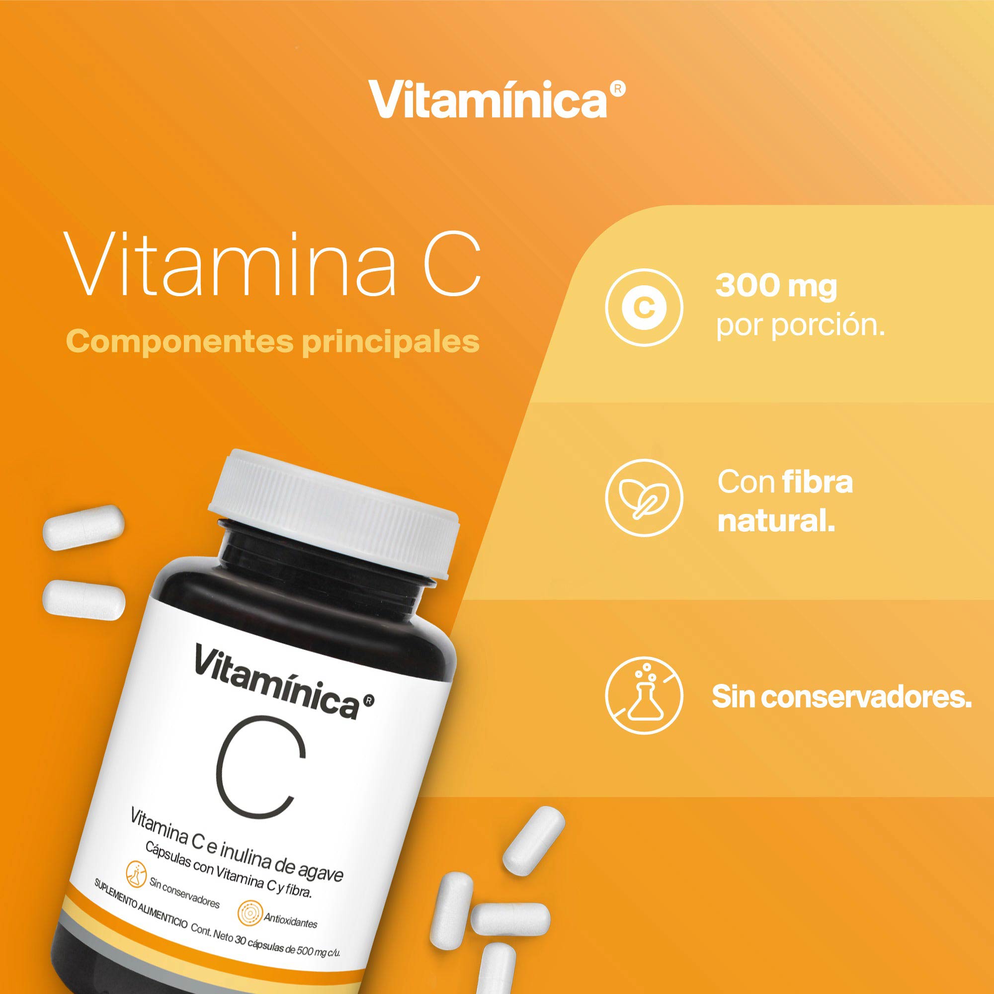 SET VITAMINA C | 90 Cápsulas de 500mg | Ideal para 90 días | Antioxidantes | Sin Azúcar ni Conservadores | Vitamínica