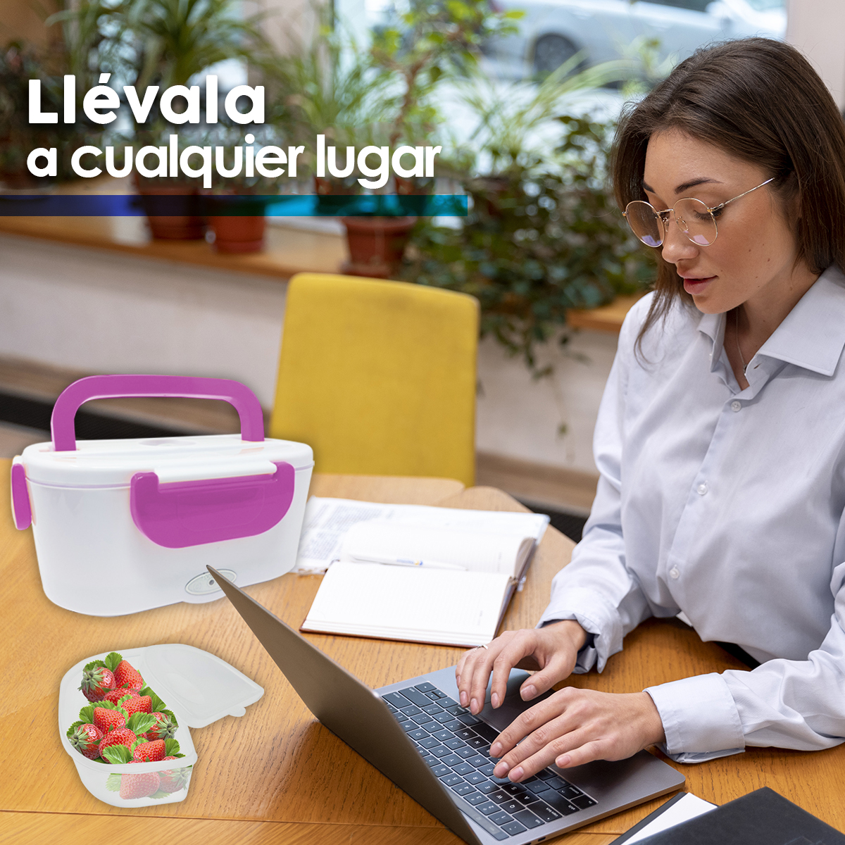 Lonchera Electrica Portatil Calefaccion Alimentos Lunch Box
