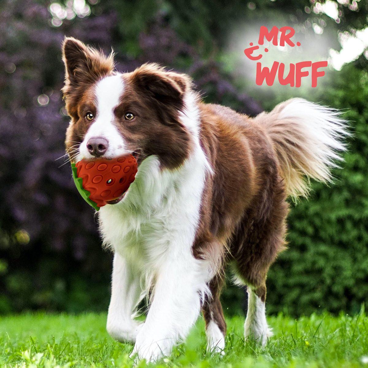 Juguete Dispensador Para Perro Con Olor y Sabor a Fresa Marca Mr Wuff