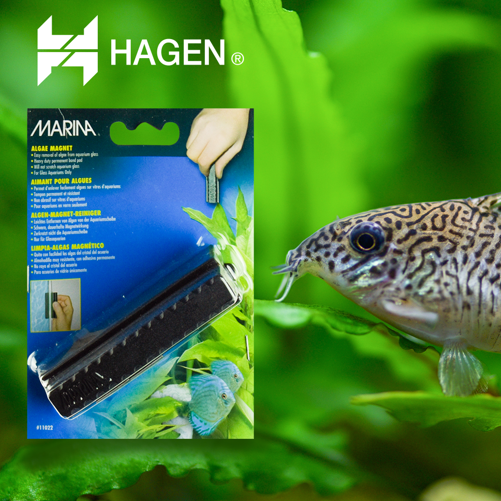 Limpiador Magnetico Grande Para Peceras Quita Algas 