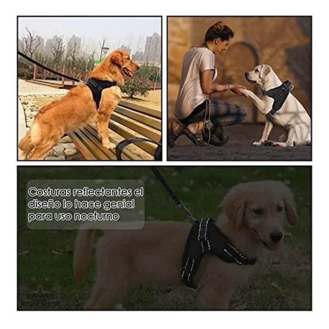 Pechera Arnés Ajustable Cómodo Con Correa Para Perro Gato talla L