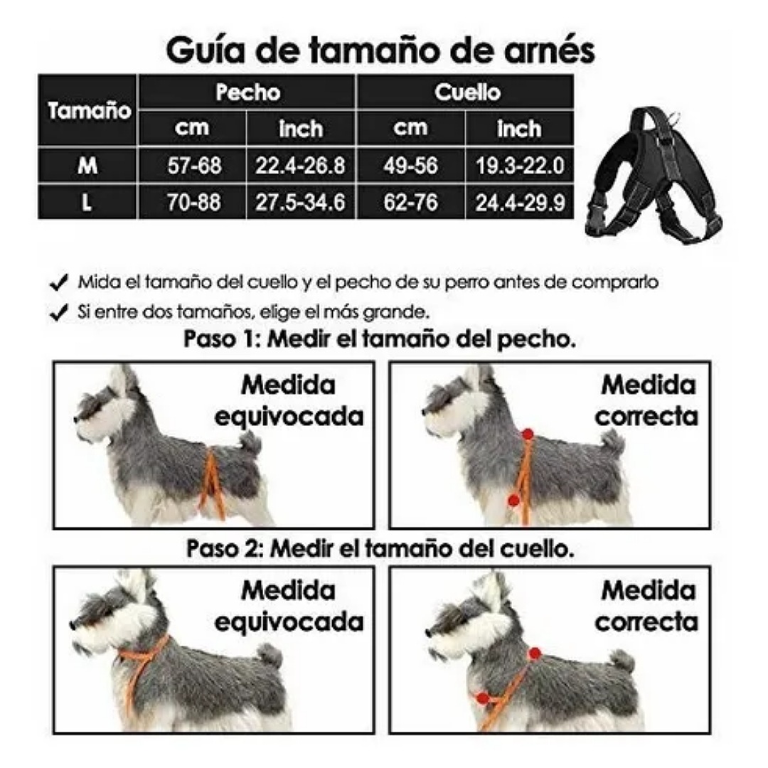 Pechera Arnés Ajustable Cómodo Con Correa Para Perro Gato talla L
