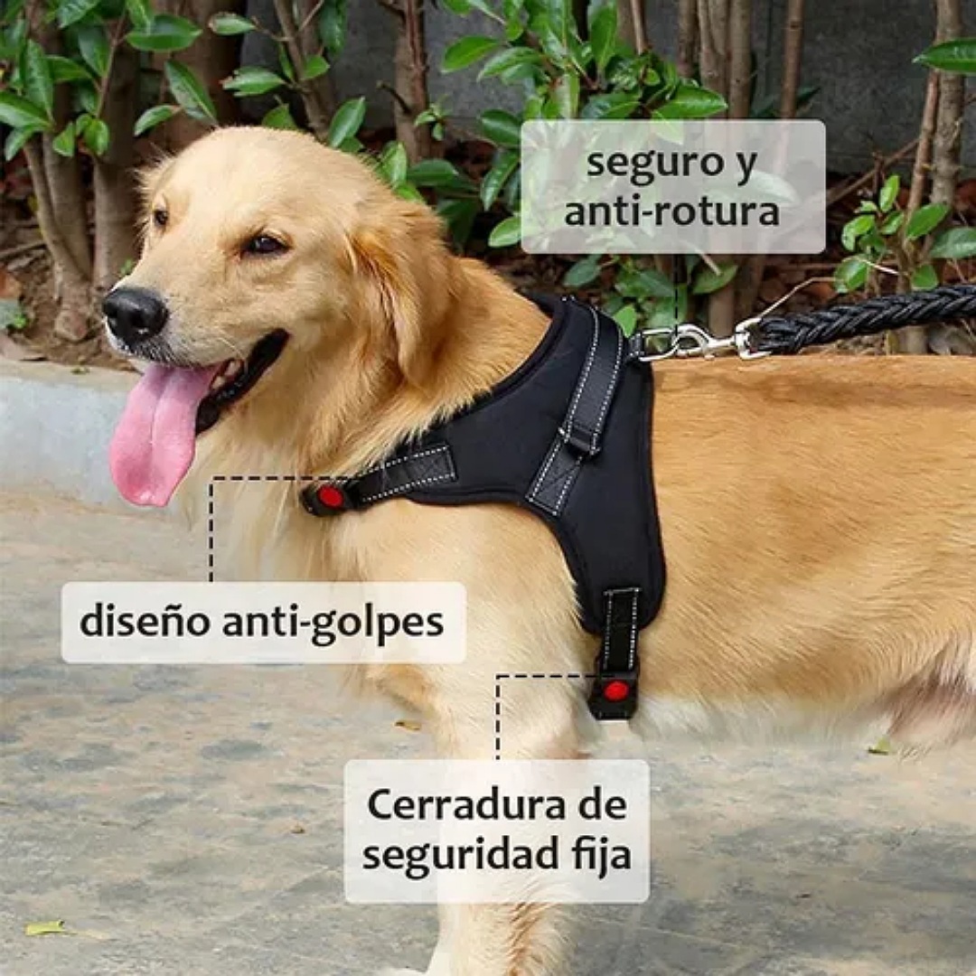 Pechera Arnés Ajustable Cómodo Con Correa Para Perro Gato talla L