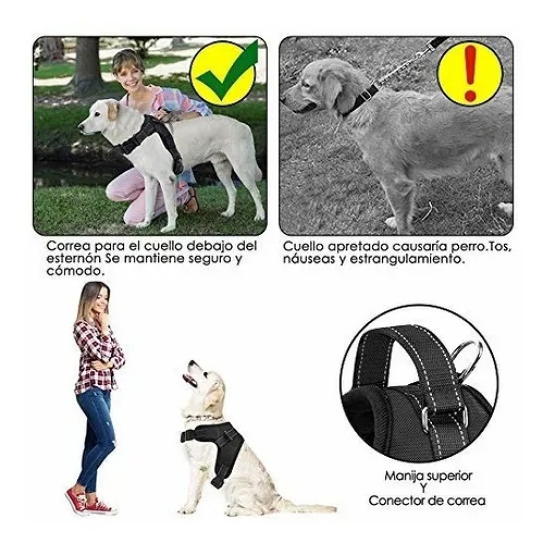 Pechera Arnés Ajustable Cómodo Con Correa Para Perro Gato talla L