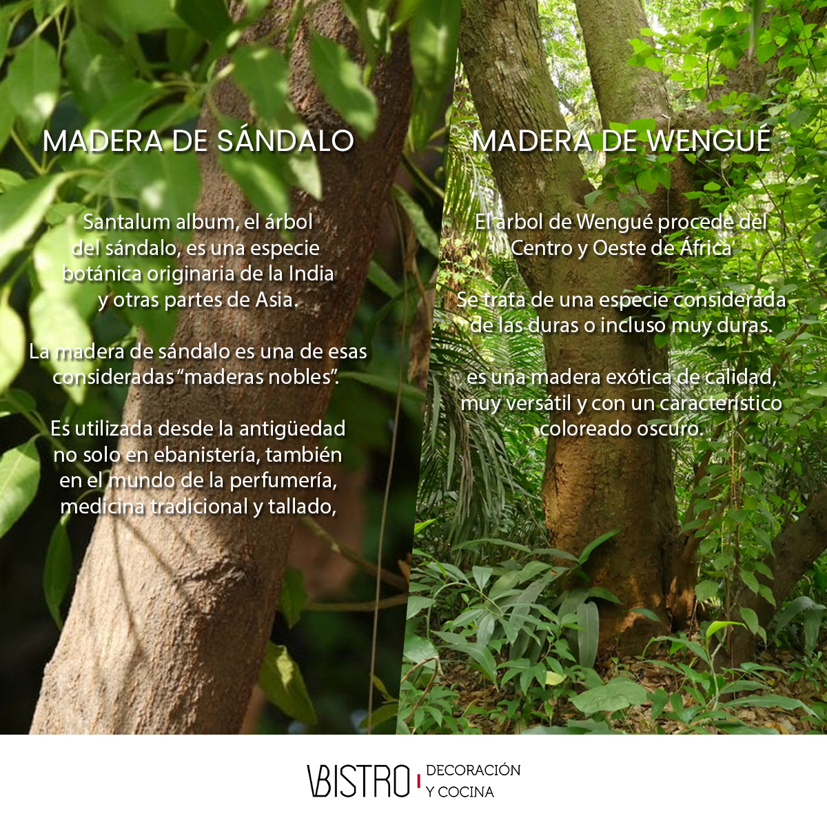  Palillos Japoneses Premium Madera De Sandalo Wengue Chinos