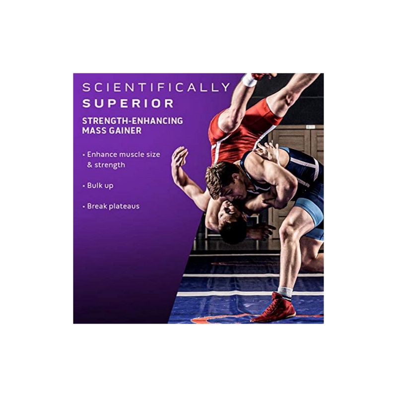 PROTEINA MUSCLETECH MASS TECH SABOR FRESA