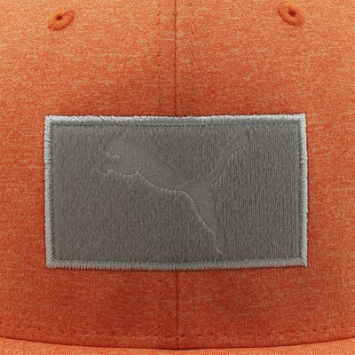 Gorra Puma Logotipo Intercambiable Flexfit 110cap 02199105